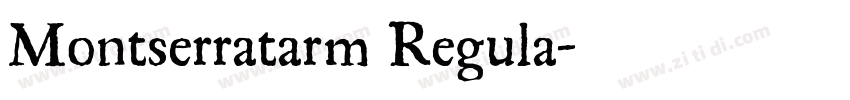 Montserratarm Regula字体转换